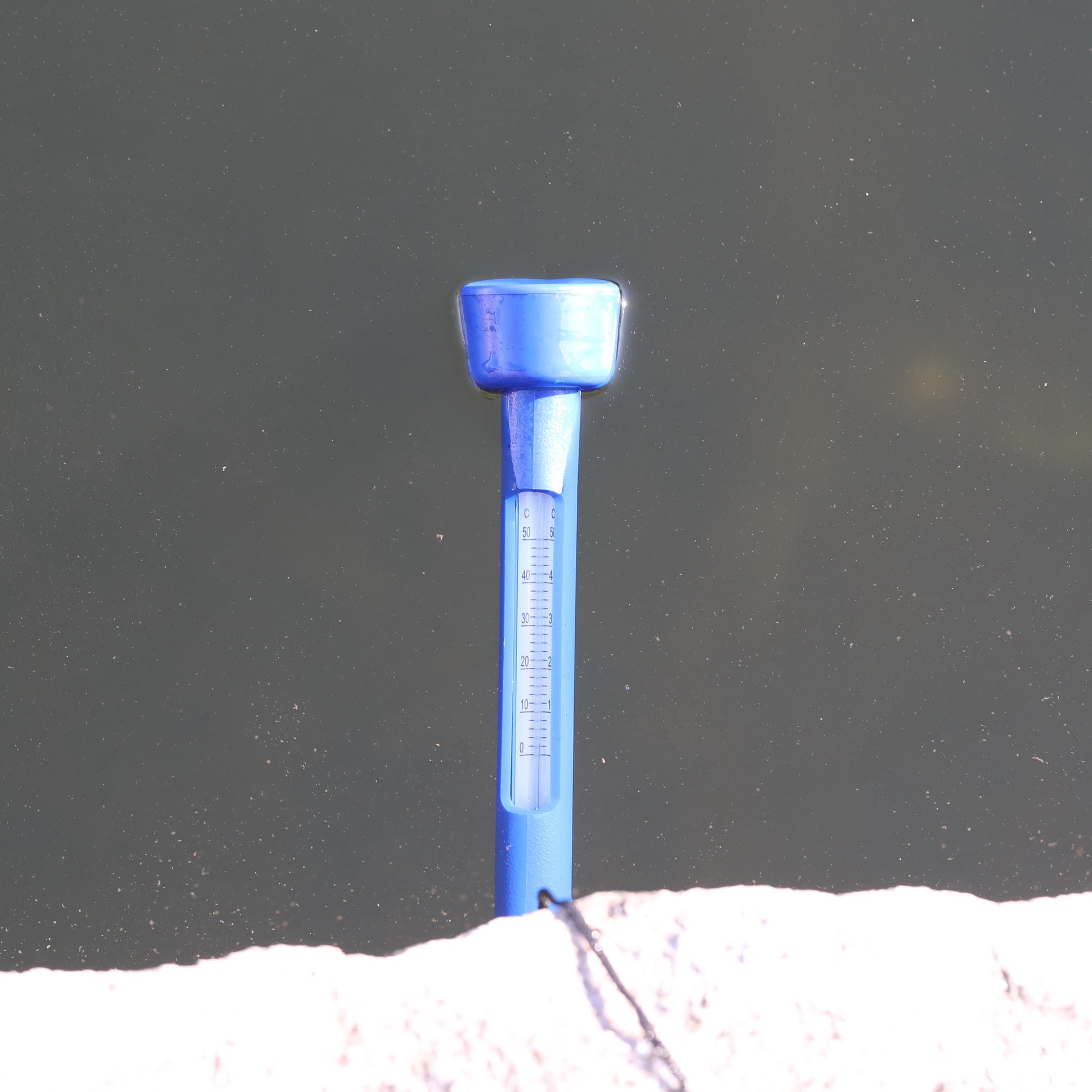 jbl-pond-thermometer-thermometre-flottant-pour-bassins-de-jardin-6-min