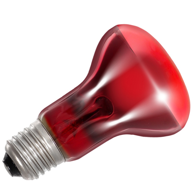 reptizoo-infrared-basking-spot-50w-lampe-chauffante-infra-rouge-avec-culot-e27-7