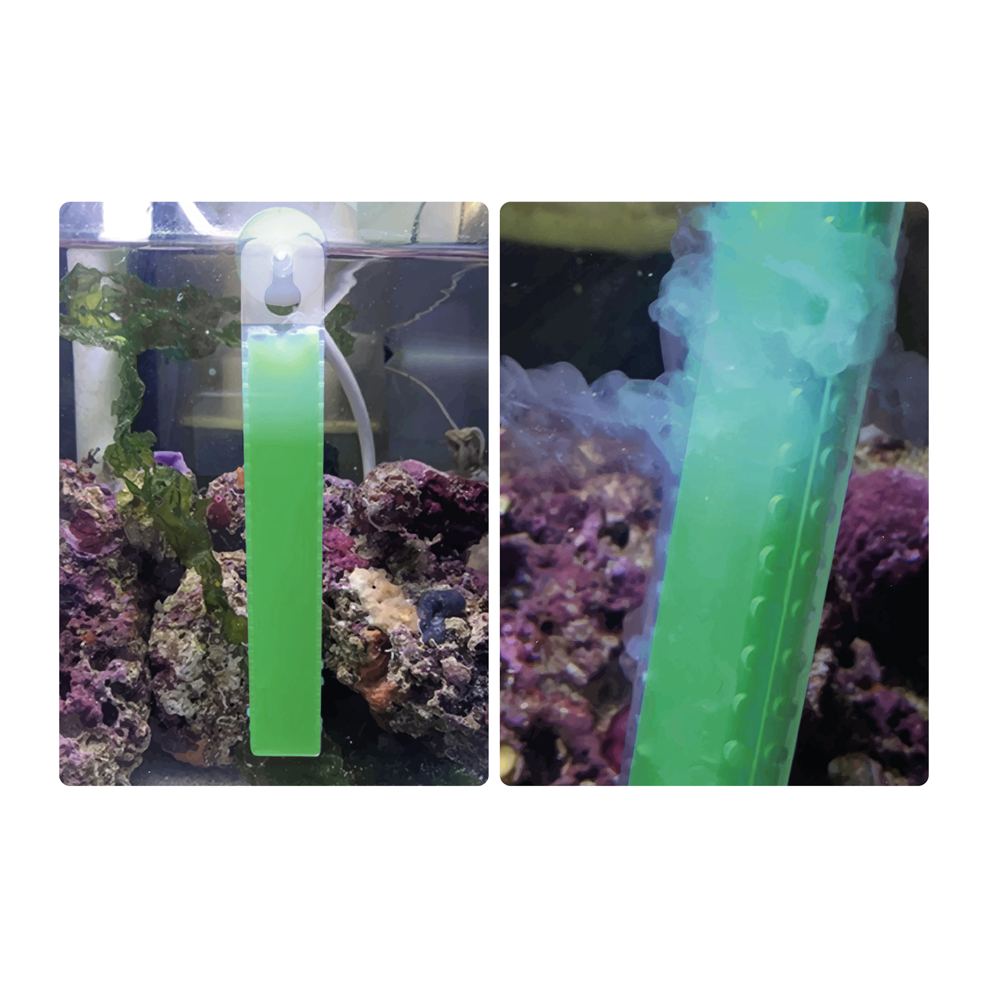 Fresh-Gel