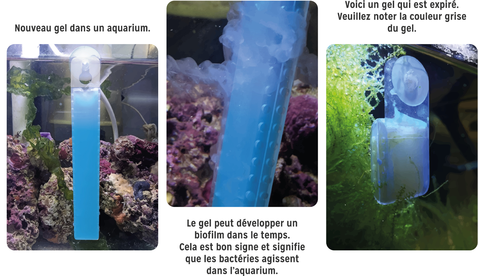 Gel-en-situation-copie