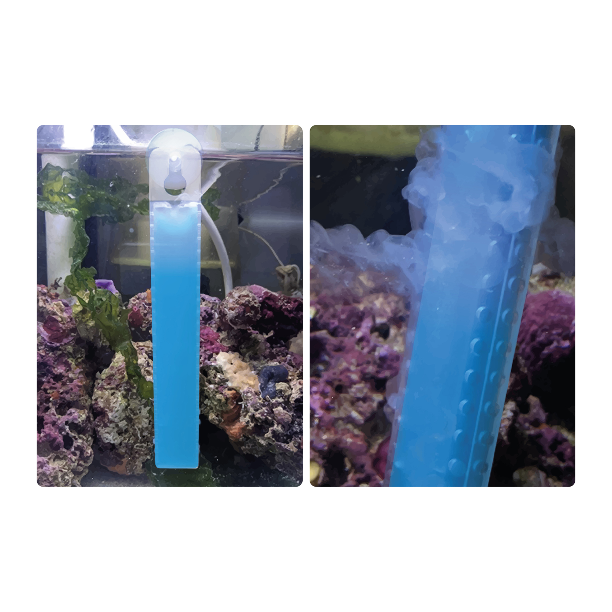 218051-2