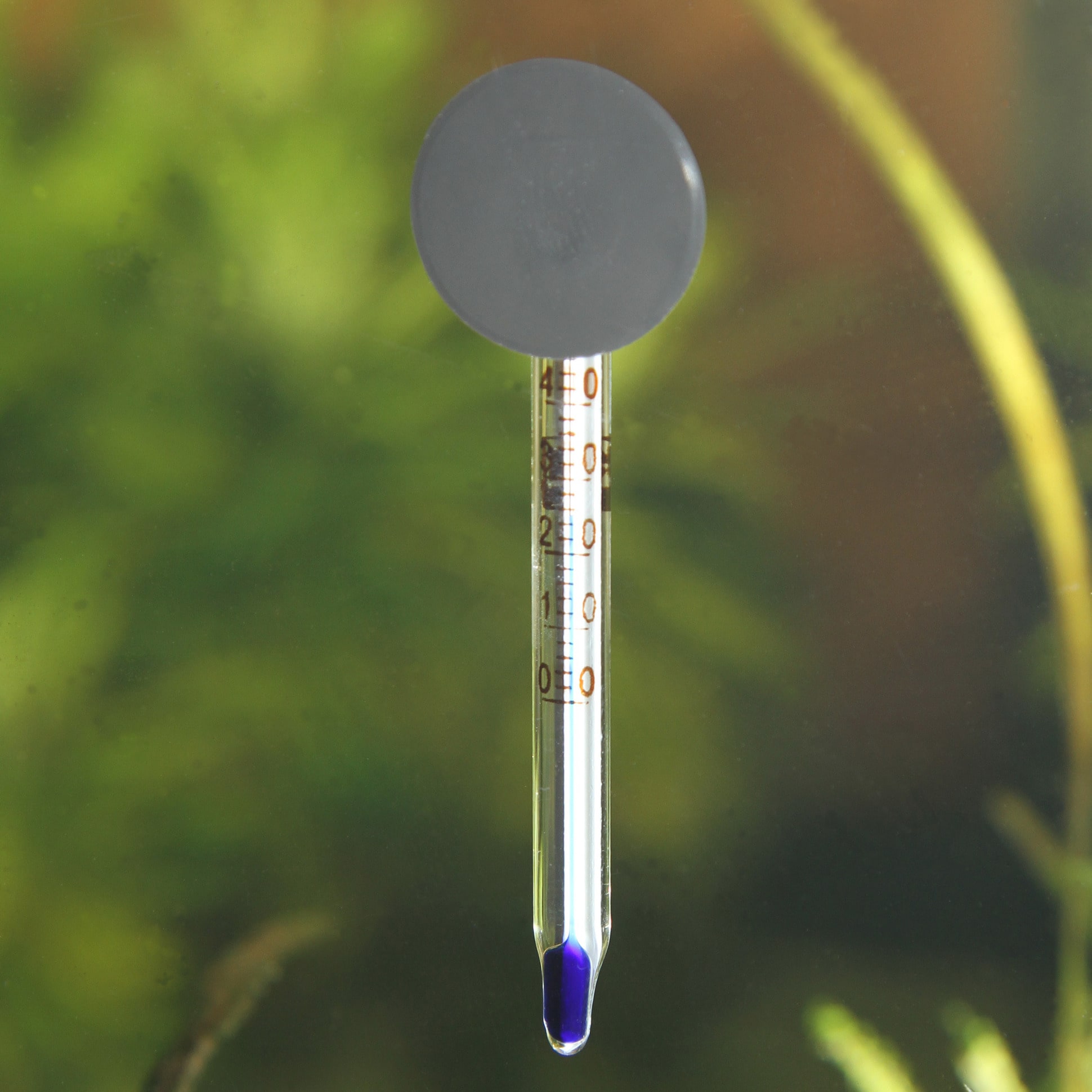jbl-mini-thermometre-de-seulement-6-cm-pour-nano-aquarium-7-min