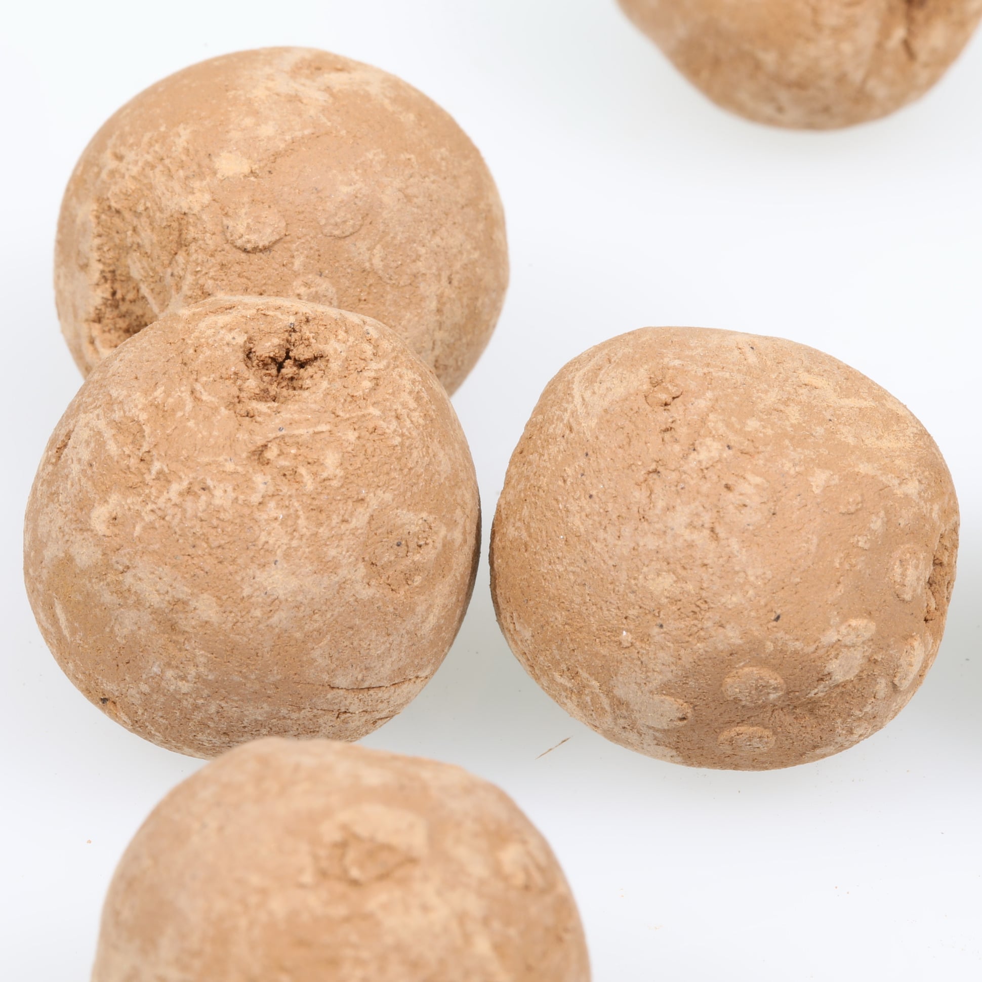 jbl-7-boulettes-fertilisantes-pour-les-racines-des-plantes-aquatiques-9-min