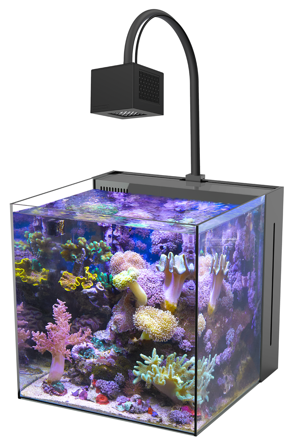 aqua-medic-yasha-60-l-aquarium-equipe-eau-de-mer-40-x-40-x-40-cm-avec-eclairage-leds-qube-60-1
