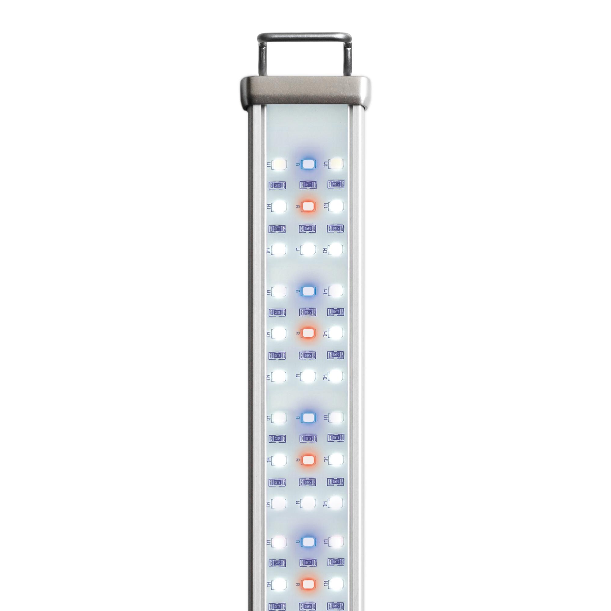 reptile-systems-proten-led-new-dawn-7w-rampe-leds-6500k-pour-terrarium-de-25-a-45-cm-1