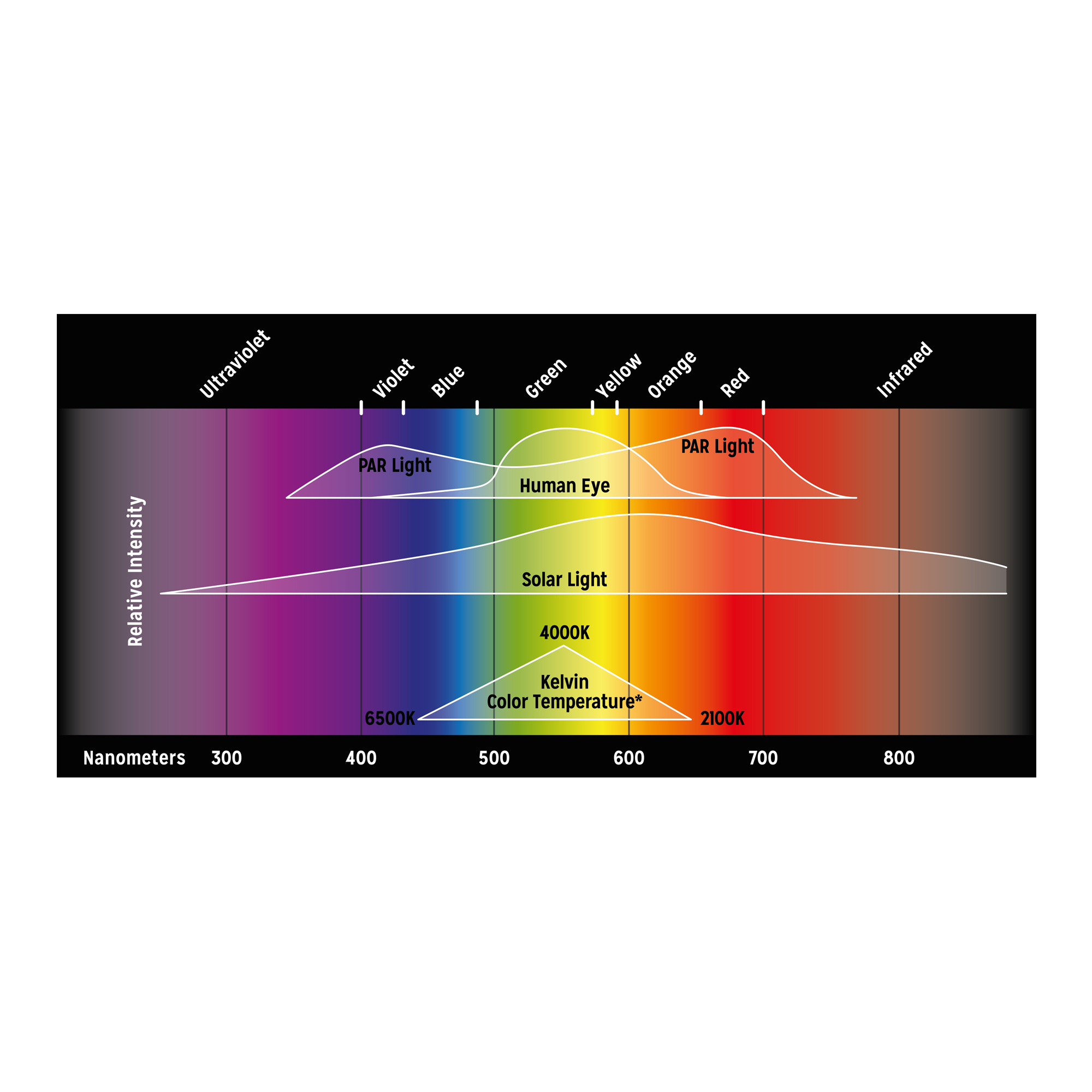 reptile-systems-proten-led-new-dawn-7w-rampe-leds-6500k-pour-terrarium-de-25-a-45-cm-5