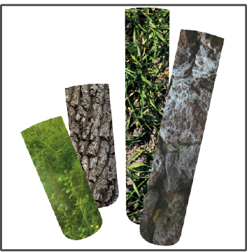 sicce-jolly-preset-chauffage-avec-temperature-pre-reglee-pour-aquarium-2-8