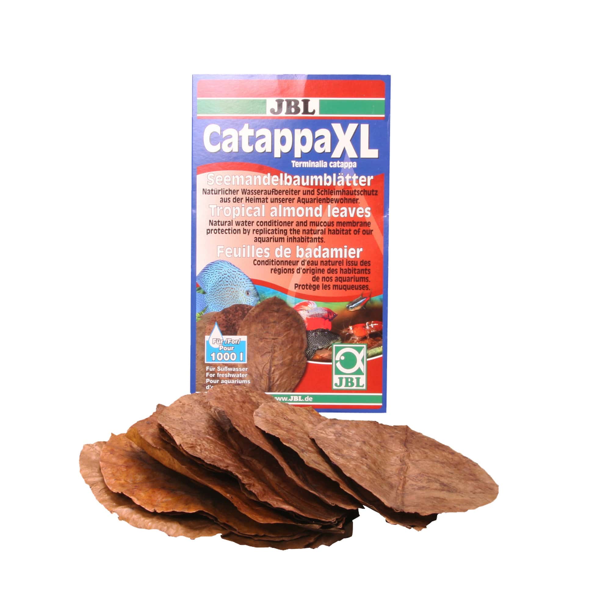 jbl-catappa-xl-feuilles-de-badamier-aux-vertus-medicinales-en-format-xl-7-min