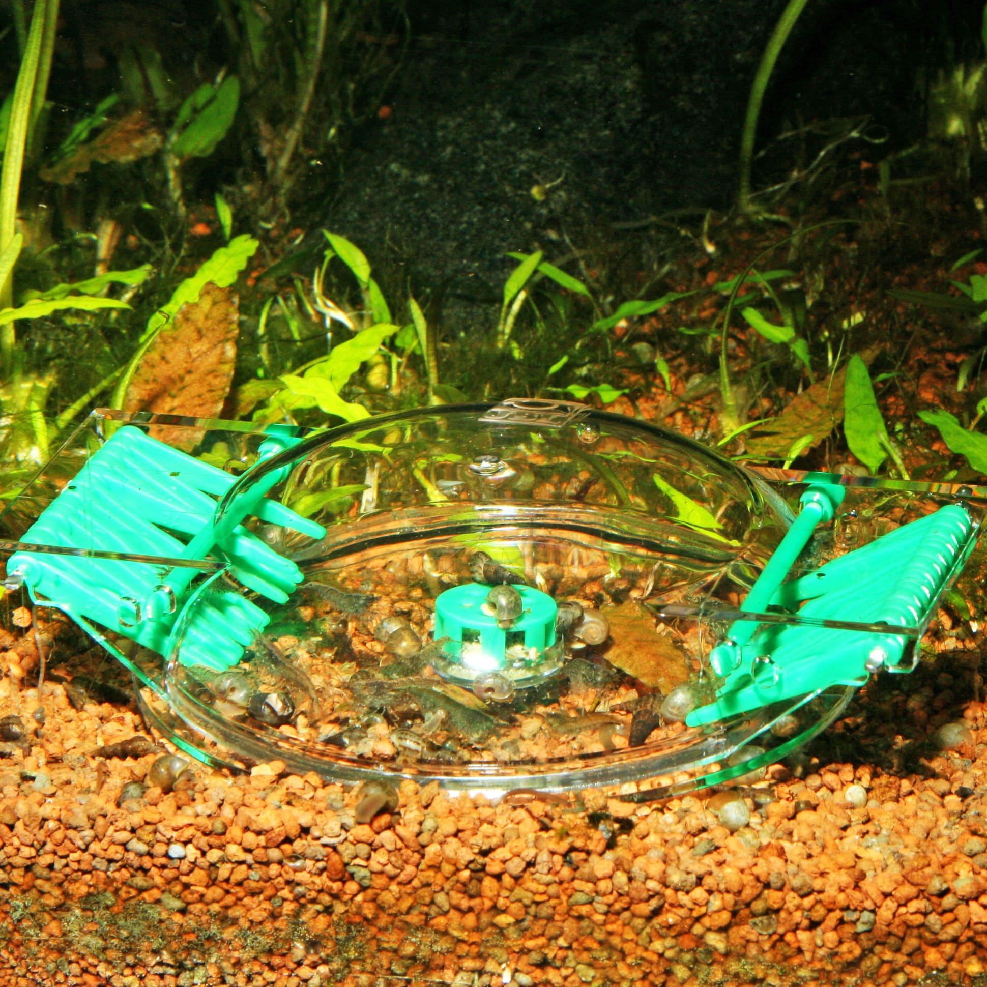 jbl-limcollect-2-piege-a-escargot-pour-aquarium-4-min