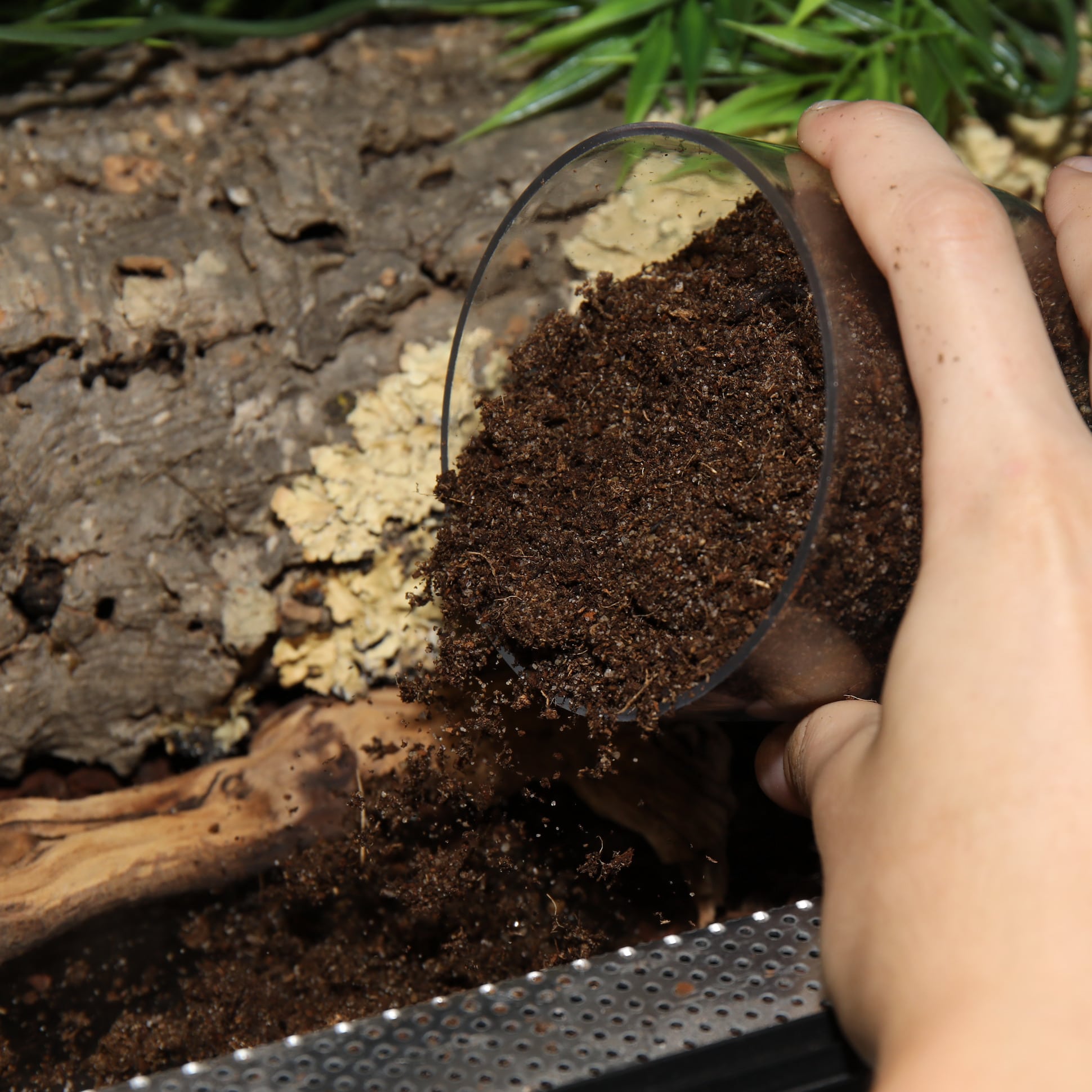 jbl-terrabasis-5-l-substrat-pour-terrariums-humides-et-semi-humides-2-min