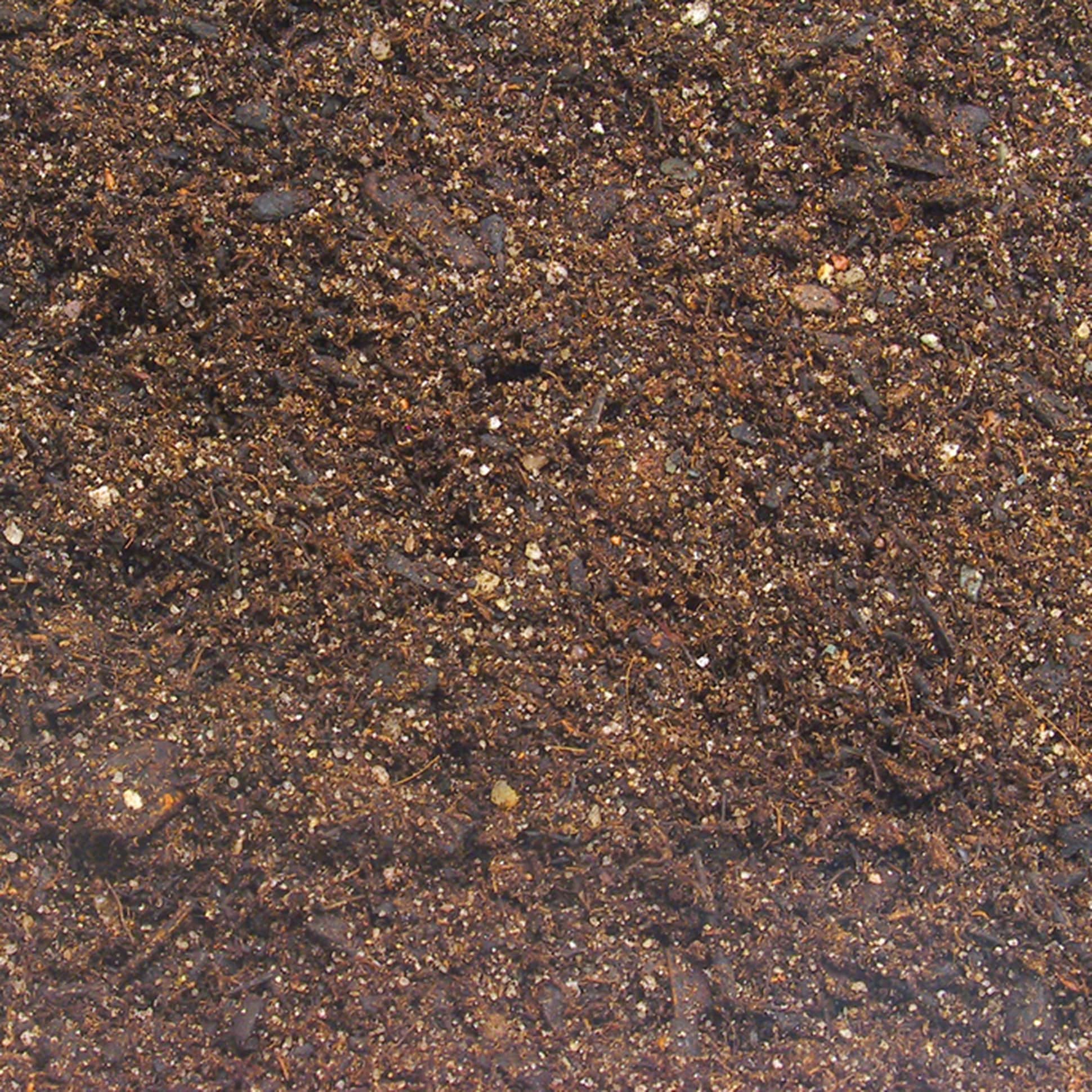 jbl-terrabasis-5-l-substrat-pour-terrariums-humides-et-semi-humides-1-min