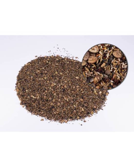 reptiles-planet-reptiseeds-100-gr-mix-de-graines-a-germer-pour-tortues-terrestres-1