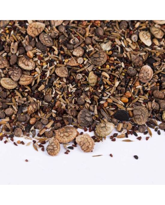 reptiles-planet-reptiseeds-100-gr-mix-de-graines-a-germer-pour-tortues-terrestres-3