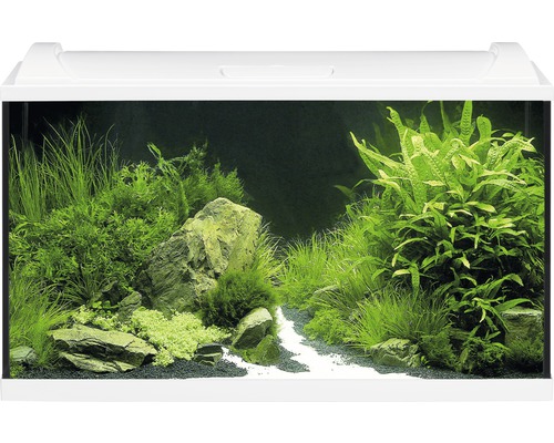 eheim-aquaproled-126-blanc-aquarium-equipe-126-l-dimensions-80-x-35-x-45-cm-1