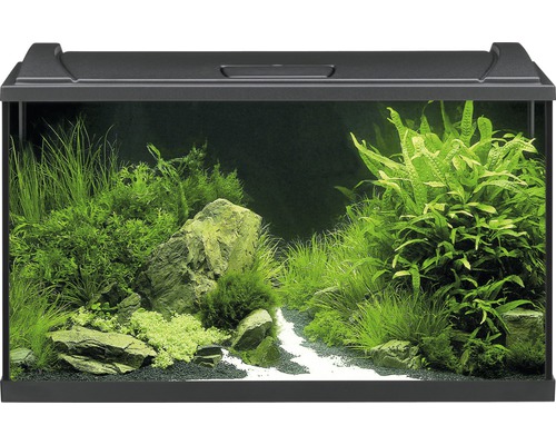 eheim-aquaproled-126-noir-aquarium-equipe-126-l-dimensions-80-x-35-x-45-cm-1