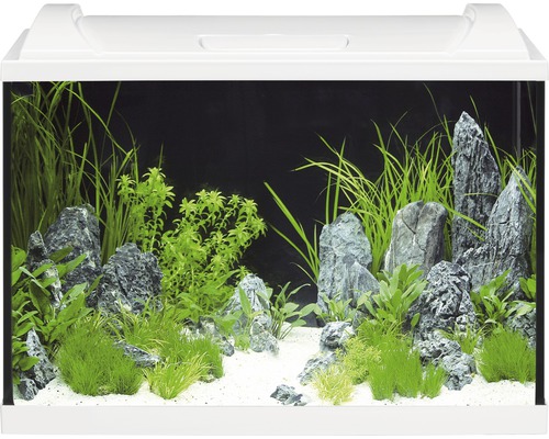eheim-aquaproled-84-blanc-aquarium-equipe-84-l-dimensions-60-x-35-x-40-cm-2