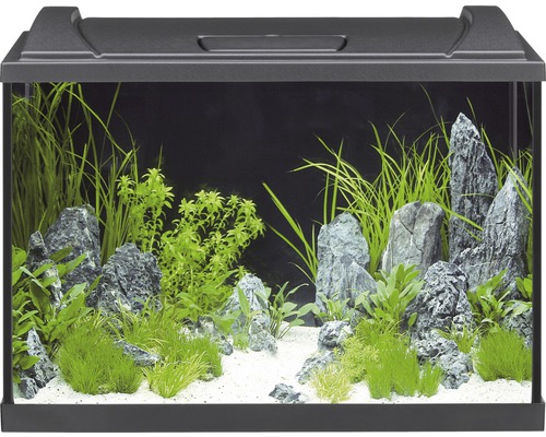 eheim-aquaproled-84-noir-aquarium-equipe-84-l-dimensions-60-x-35-x-40-cm-2