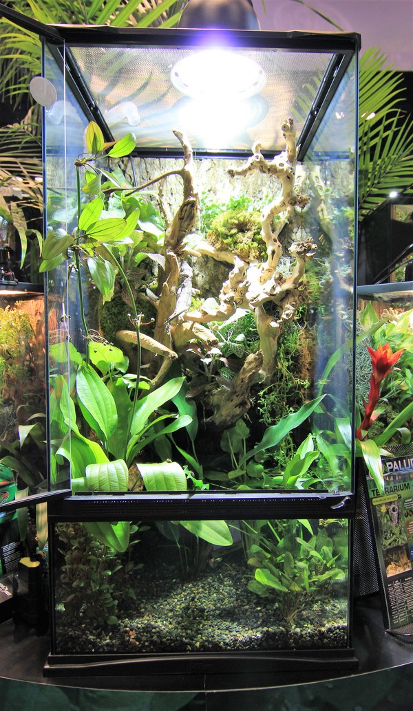zoomed-paludarium-46-x-46-x-91-cm-de-haut-avec-contenance-de-40l-35