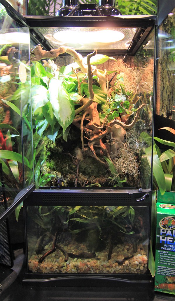 zoomed-paludarium-46-x-46-x-91-cm-de-haut-avec-contenance-de-40l-3