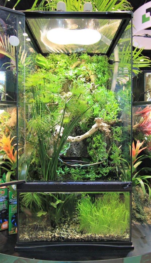zoomed-paludarium-46-x-46-x-91-cm-de-haut-avec-contenance-de-40l-66