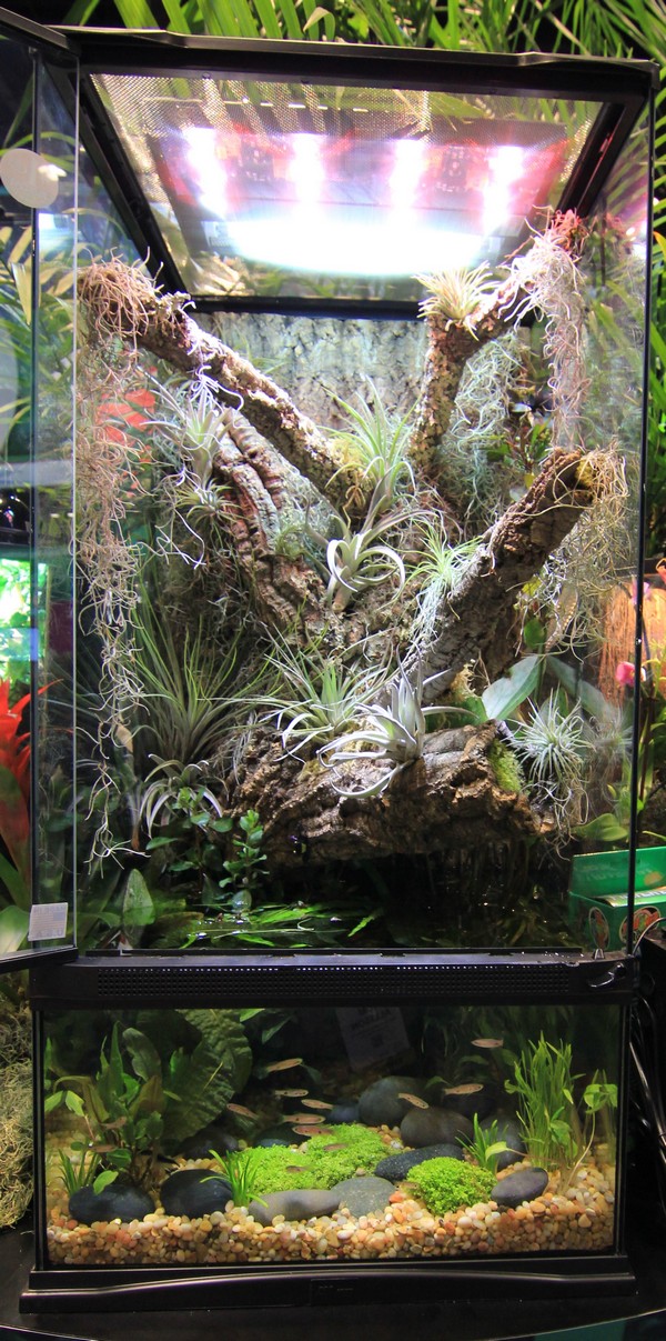 zoomed-paludarium-46-x-46-x-91-cm-de-haut-avec-contenance-de-40l-1