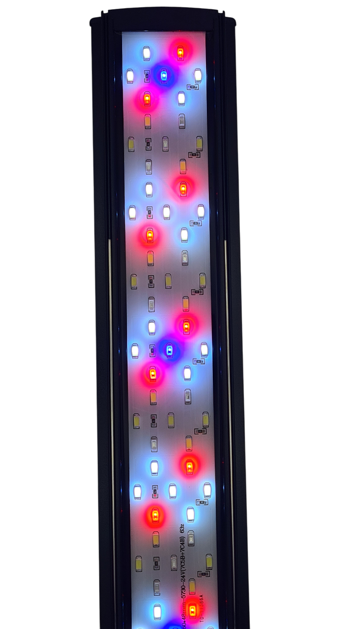 scalare-rampe-d-eclairage-leds-akouashop-com-mode-2