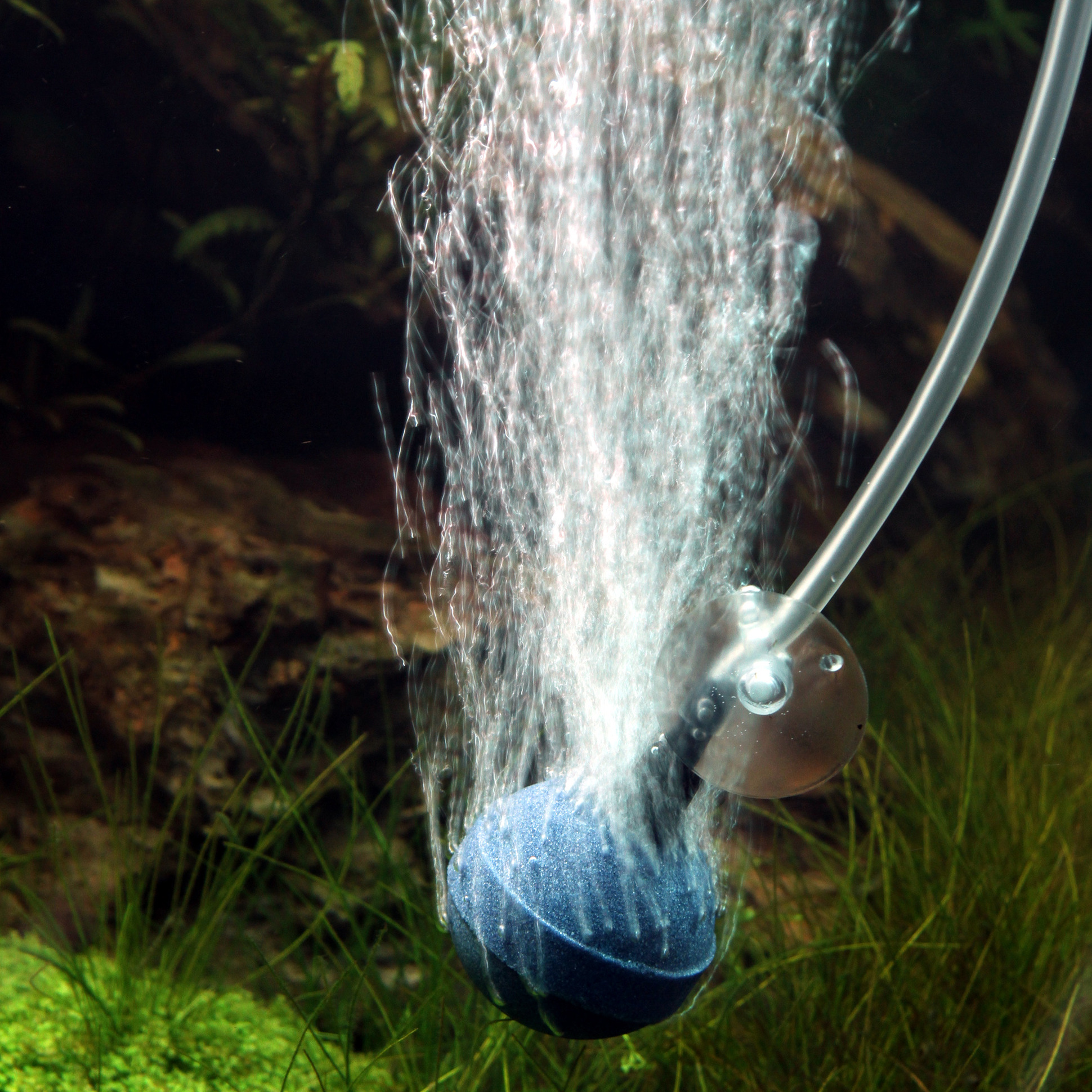 jbl-prosilent-aeras-micro-ball-l-diffuseur-d-air-rond-diametre-40-mm-pour-aquariums-et-bassins-5