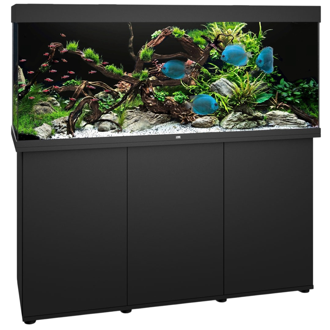 JUWEL Combinaison Rio 450 LED Noir aquarium 151 x 51 x 66 cm 450 L avec meuble SBX assorti