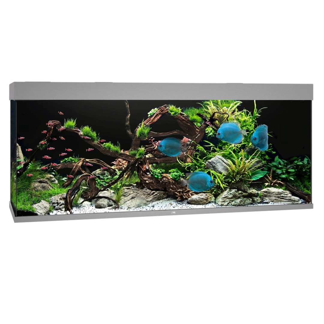 JUWEL Rio 450 LED Gris aquarium équipé 151 x 51 x 66 cm 450 L