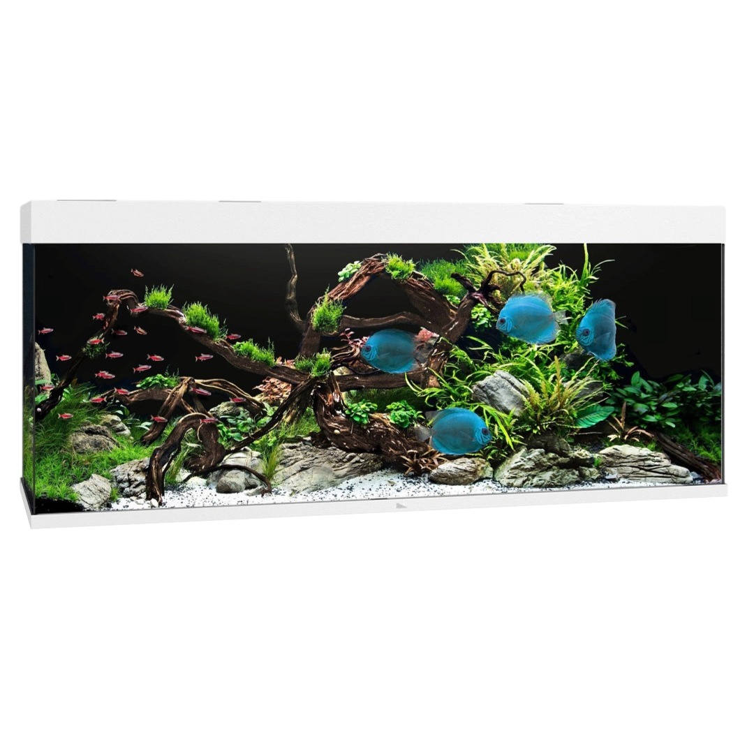 juwel-rio-450-led-blanc-aquarium-equipe-151-x-51-x-66-cm-450-l