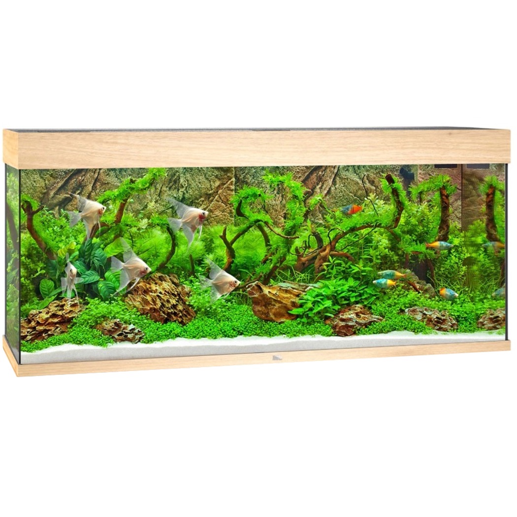 JUWEL Rio 240 LED Chêne Clair aquarium équipé 121 x 41 x 55 cm 240 L
