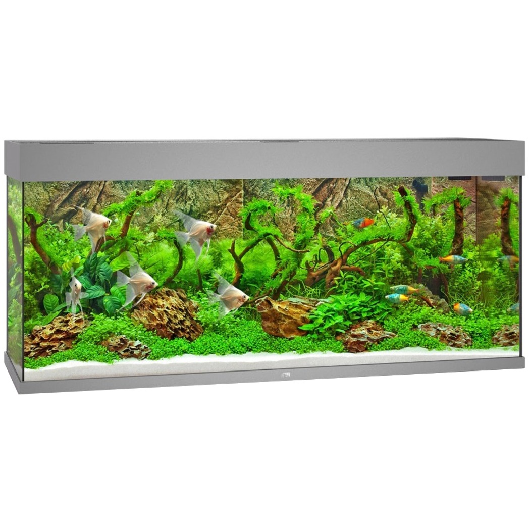 JUWEL Rio 240 LED Gris aquarium équipé 121 x 41 x 55 cm 240 L