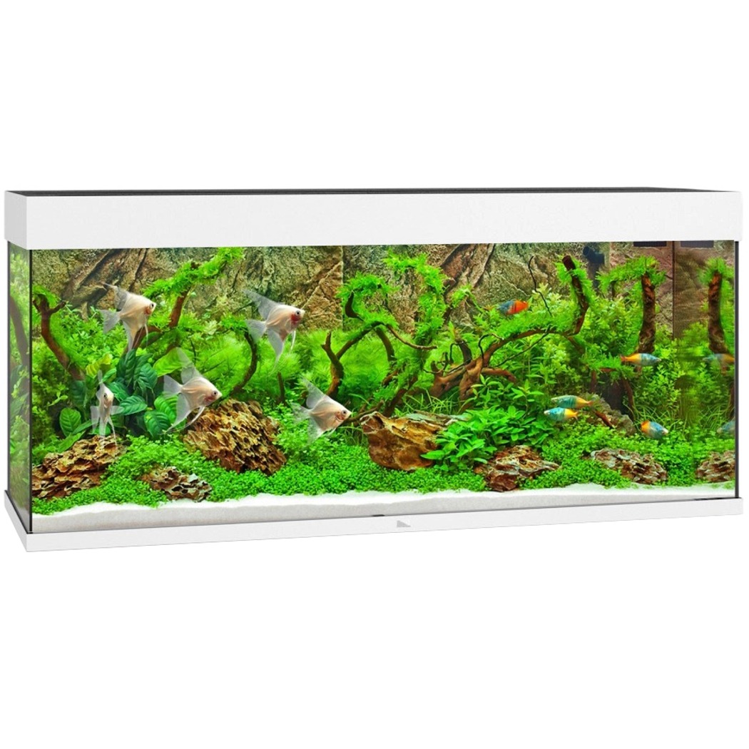 JUWEL Rio 240 LED Blanc aquarium équipé 121 x 41 x 55 cm 240 L