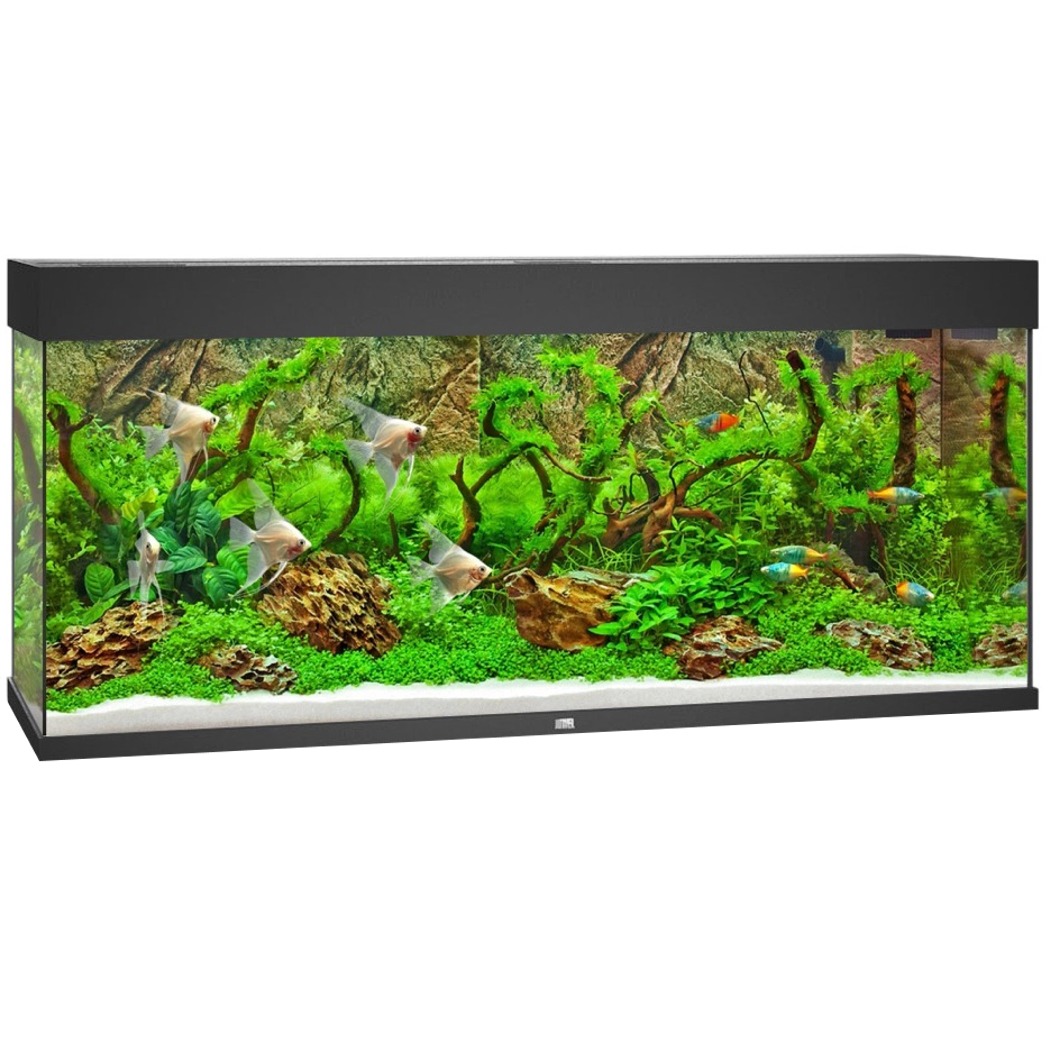 JUWEL Rio 240 LED Noir aquarium équipé 121 x 41 x 55 cm 240 L