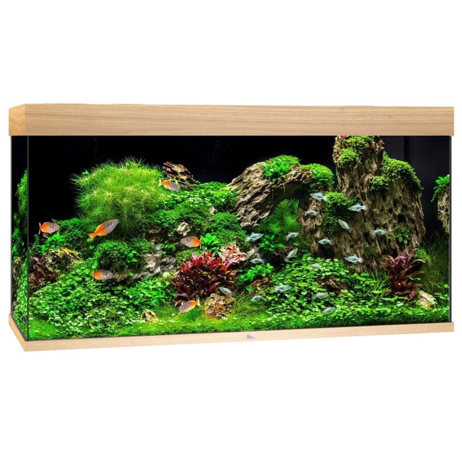 JUWEL Rio 350 LED Chêne Clair aquarium équipé 121 x 51 x 66 cm 350 L