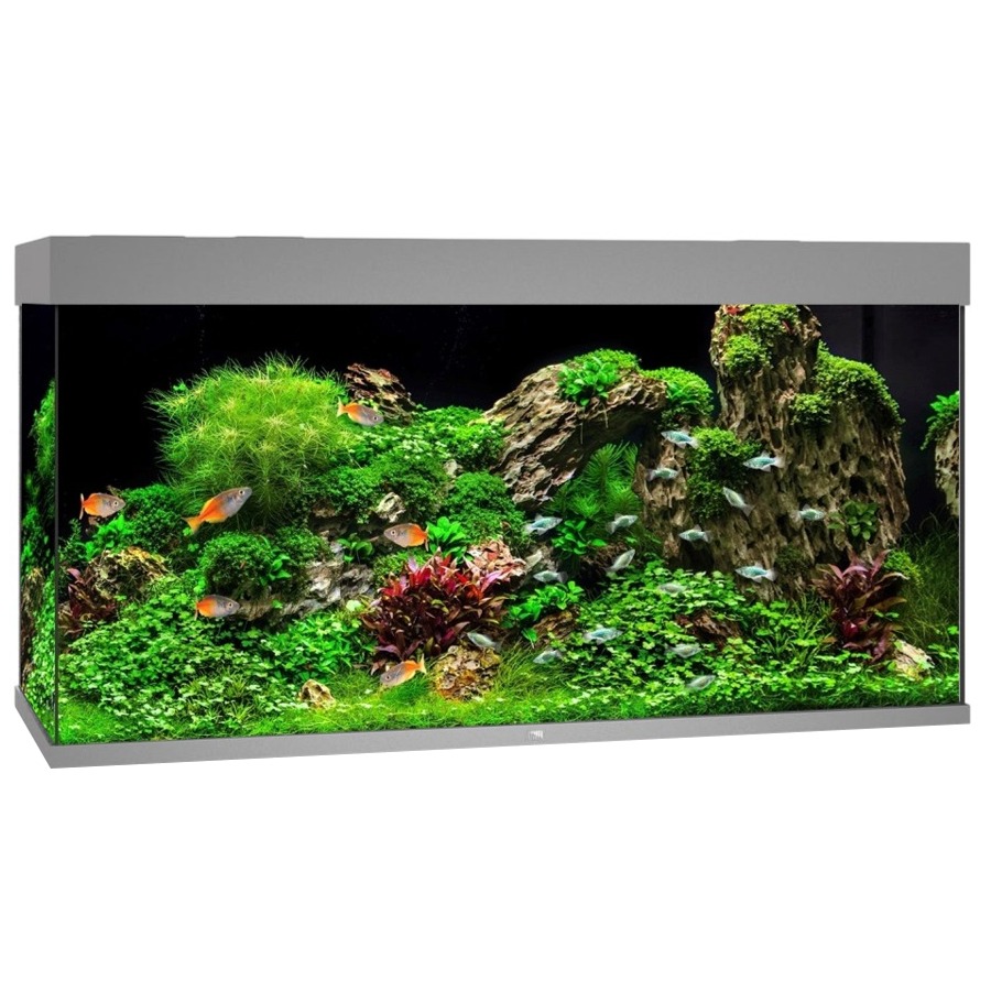 JUWEL Rio 350 LED Gris aquarium équipé 121 x 51 x 66 cm 350 L