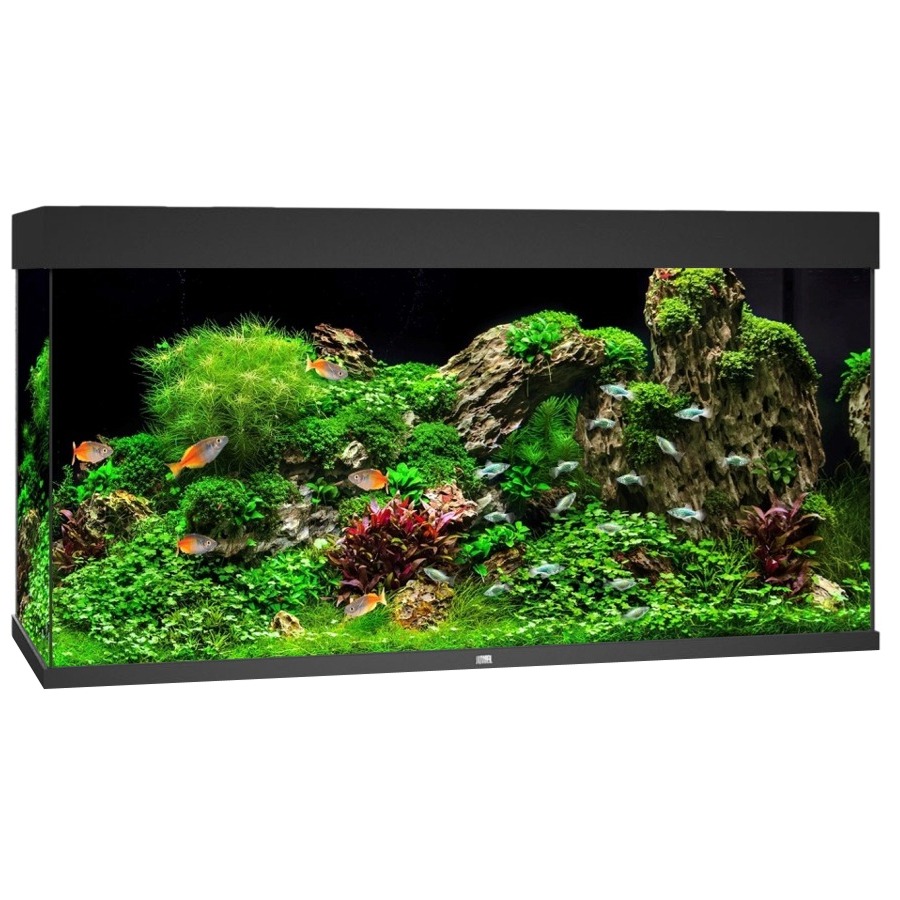 JUWEL Rio 350 LED Noir aquarium équipé 121 x 51 x 66 cm 350 L