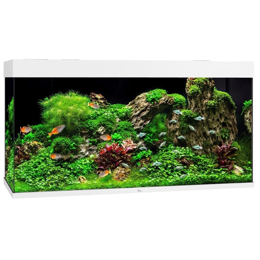 JUWEL Rio 350 LED Blanc aquarium équipé 121 x 51 x 66 cm 350 L