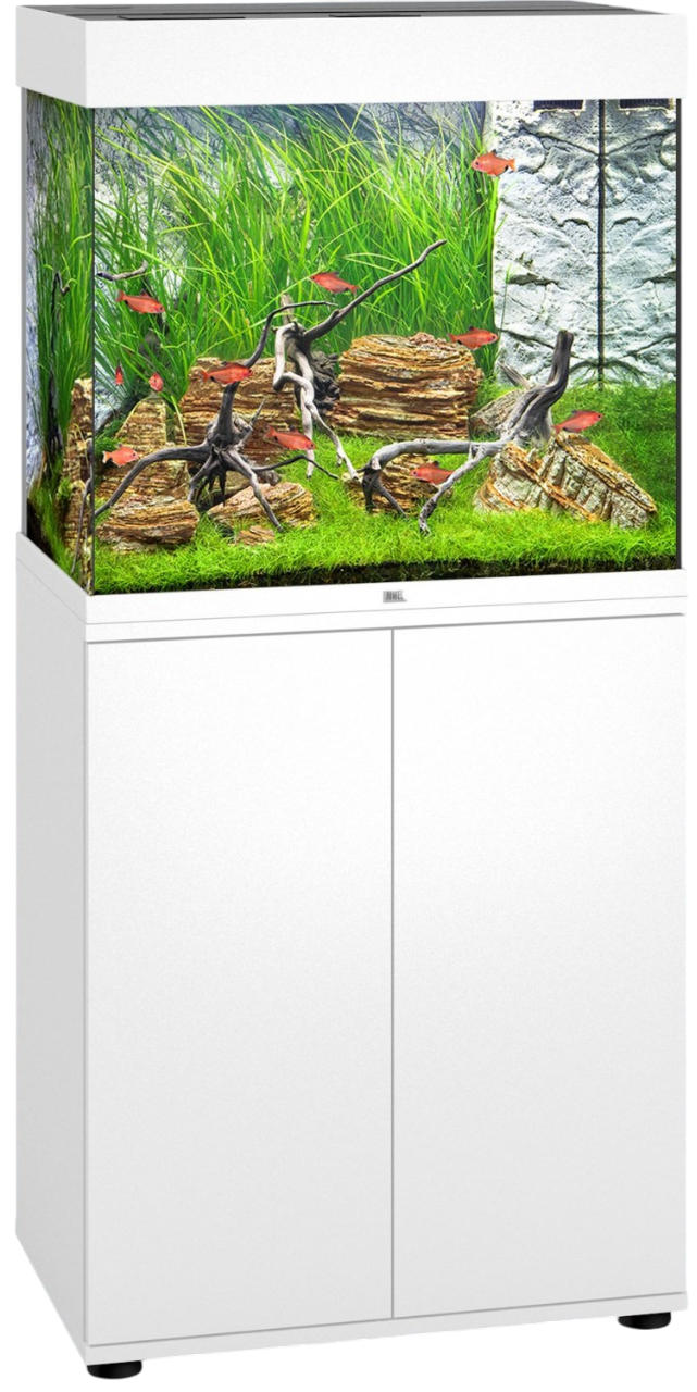 JUWEL Combinaison Lido 120 LED Blanc aquarium 61 x 41 x 58 cm 120 L avec meuble SBX assorti