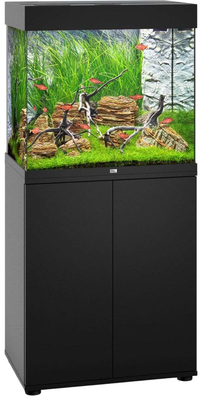 juwel-combinaison-lido-120-led-noir-aquarium-61-x-41-x-58-cm-120-l-avec-meuble-sbx-assorti