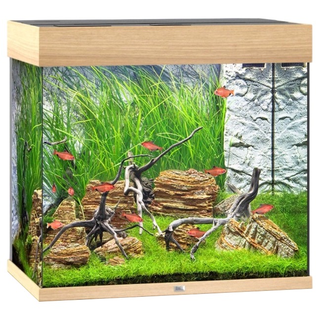 JUWEL Lido 120 LED Chêne Clair aquarium équipé 61 x 41 x 58 cm 120 L