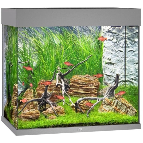 JUWEL Lido 120 LED Gris aquarium équipé 61 x 41 x 58 cm 120 L