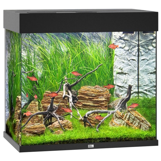 JUWEL Lido 120 LED Noir aquarium équipé 61 x 41 x 58 cm 120 L