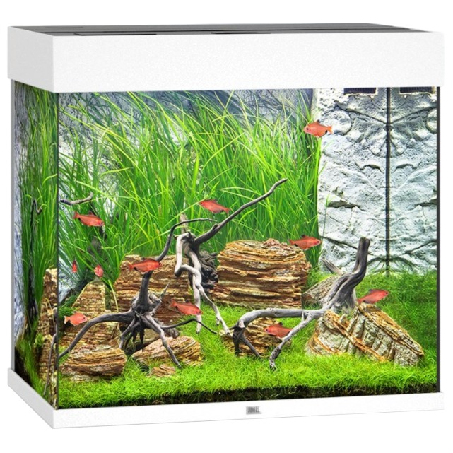 JUWEL Lido 120 LED Blanc aquarium équipé 61 x 41 x 58 cm 120 L