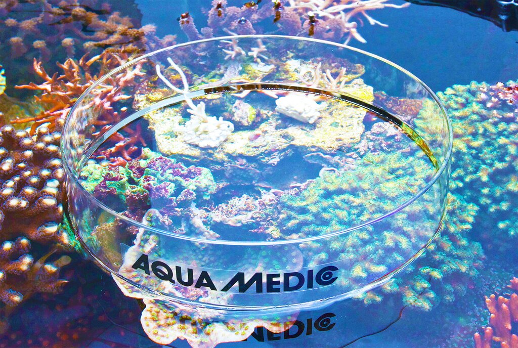 aqua-medic-topview-250-xl-outil-d-observation-et-de-photographie-en-acrylique-diametre-25-cm-1