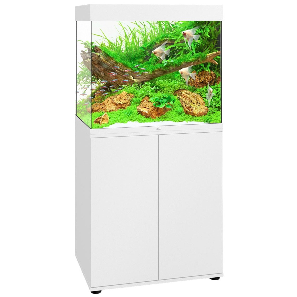 JUWEL Combinaison Lido 200 LED Blanc aquarium 71 x 51 x 65 cm 200 L avec meuble SBX assorti