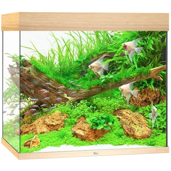 JUWEL Lido 200 LED Chêne Clair aquarium équipé 71 x 51 x 65 cm 200 L
