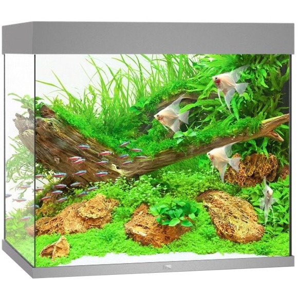 JUWEL Lido 200 LED Gris aquarium équipé 71 x 51 x 65 cm 200 L