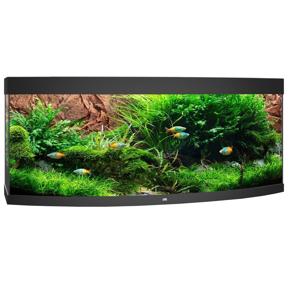 JUWEL Vision 450 LED Noir aquarium panoramique équipé 151 x 61 x 64 cm 450 L