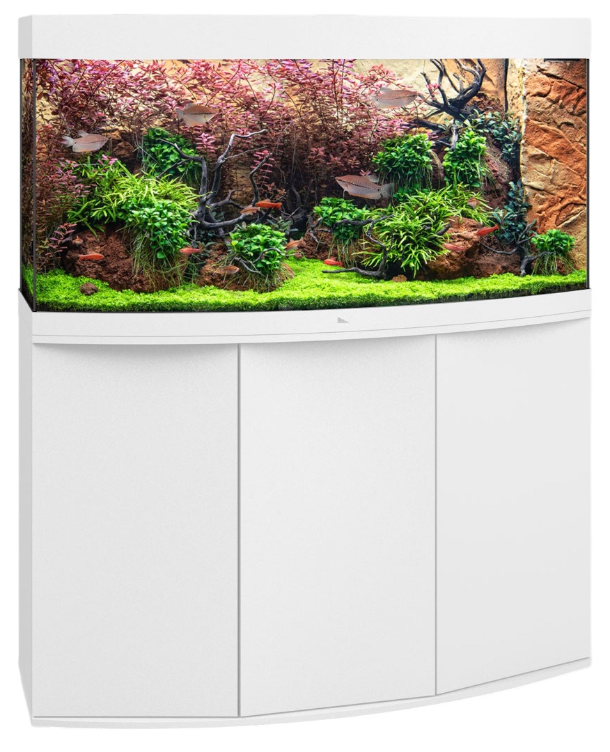 JUWEL Combinaison Vision 260 LED Blanc aquarium panoramique 121 x 46 x 64 cm 260 L avec meuble SBX assorti